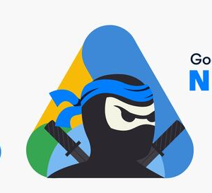 Conviértete en un Google Ads Ninja 🥷 | Actualizado 2023